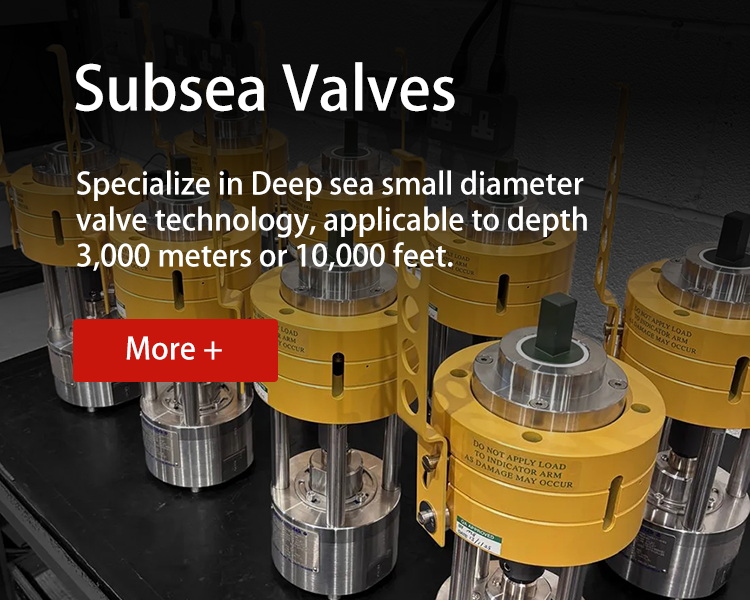 bannerweb subsea valves