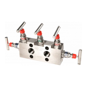 Y53 Needle Valve Manifold