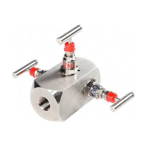 IN Type Instrument DBB Valves