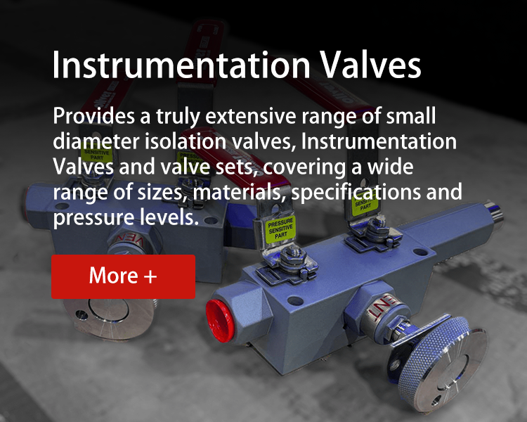 bannerweb instrumentation valves