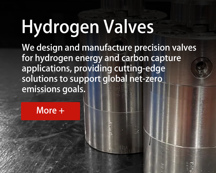 bannerweb hydrogen valves